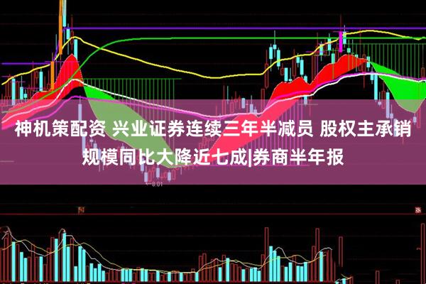 神机策配资 兴业证券连续三年半减员 股权主承销规模同比大降近七成|券商半年报