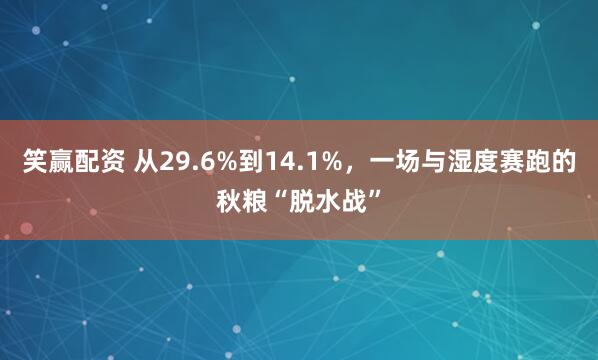 笑赢配资 从29.6%到14.1%，一场与湿度赛跑的秋粮“脱水战”
