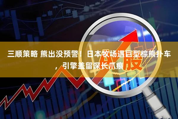 三顺策略 熊出没预警！日本牧场遇巨型棕熊扑车，引擎盖留深长爪痕